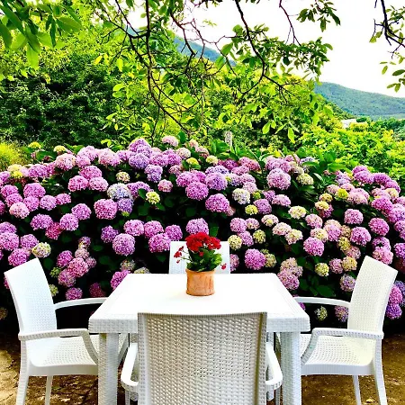 Сasa de vacaciones Il Ciliegio *